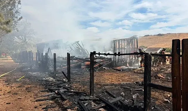 ABD'nin Nevada eyaletindeki orman yangınında 32 ev kül oldu