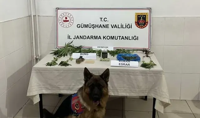 Gümüşhane'de Jandarma ekipleri aranan şahsı çatıda yakaladı