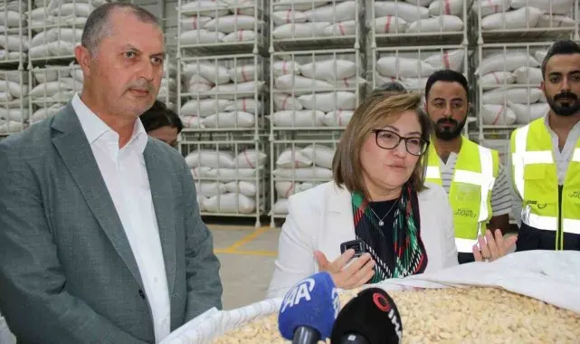 Antep fıstığı lisanslı depoda ürün alımları devam ediyor