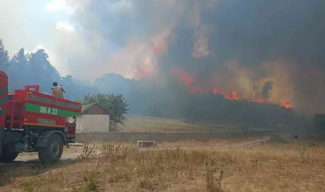 Ankara Kızılcahamam'da ormanlık alanda yangın çıktı