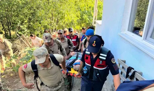 Sinop'ta kaybolan Alzheimer hastası vatandaş sağ bulundu