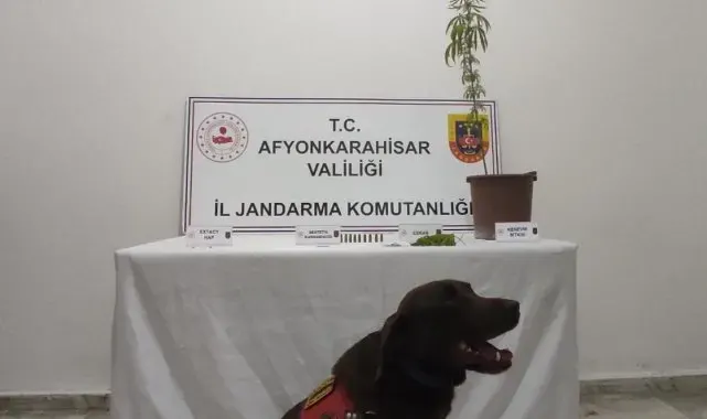 Afyonkarahisar'da uyuşturucu operasyonu: 2 gözaltı