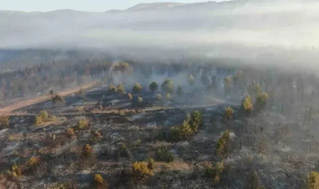 Çankırı'daki orman yangınına müdahale sürüyor