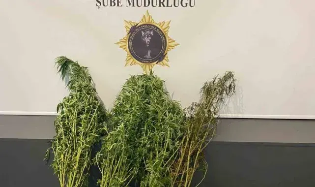 Evinde kubar esrar ele geçirilen şahıs tutuklandı