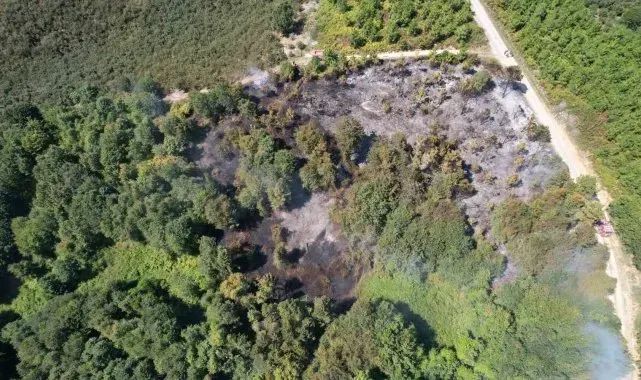 Sakarya'da korkutan orman yangını