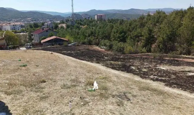 Sinop'ta ot yangını