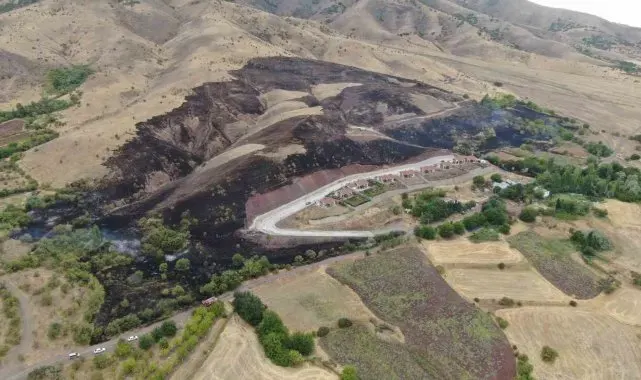 Elazığ'da 200 dönüm alan yangında kül oldu