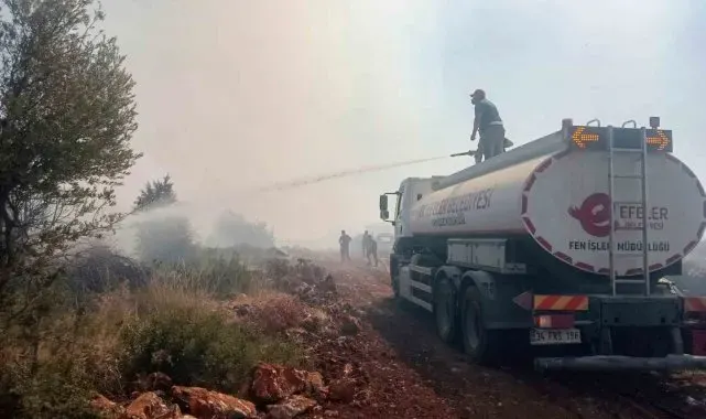 Efeler'in ekipleri yangınları söndürmek için çalışıyor