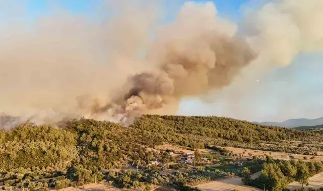 Milas'taki orman yangınına müdahale sürüyor