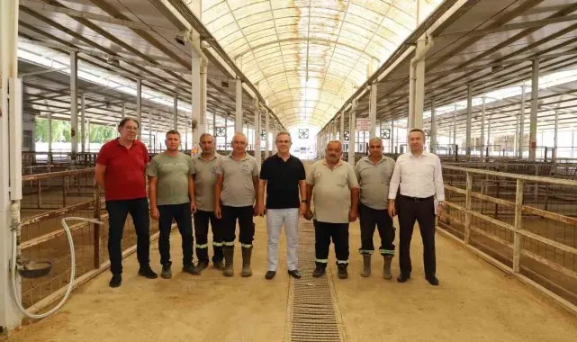 Başkan Tetik, Nazilli'de devam eden çalışmaları yerinde inceledi