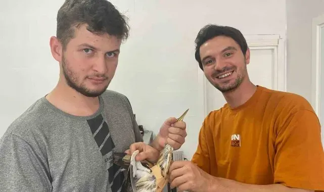 Amasya'da ayakları kırık halede bulunan balaban kuşu koruma altına alındı