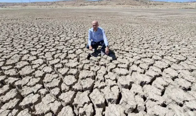 Karaman'da baraj kurudu, binlerce balık telef oldu