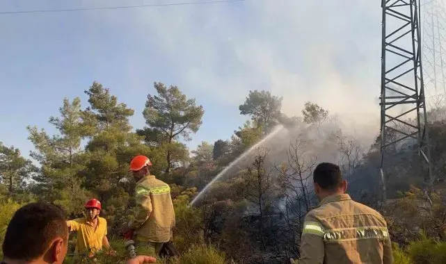 Milas'taki zirai alan yangını kontrol altına alındı
