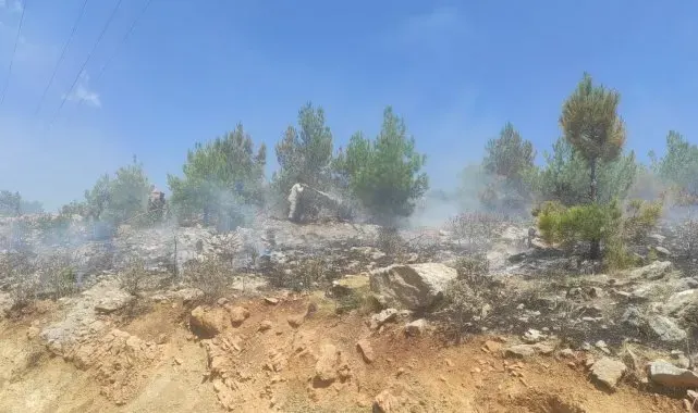 Mersin'de 4 ayrı noktada çıkan orman yangınları söndürüldü