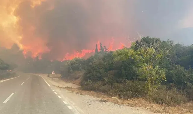 Eceabat'taki orman yangını büyüyor