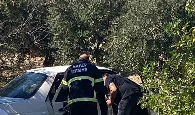 Zeytinliğe uçan otomobildeki 2 kişi yaralandı