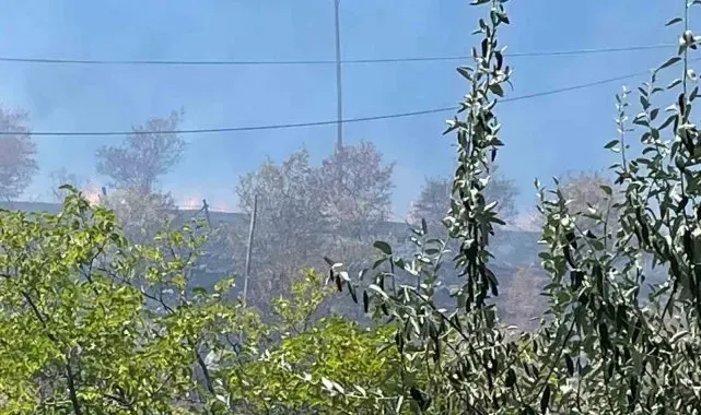 Arguvan'da çıkan yangın meyve ağaçlarına zarar verdi