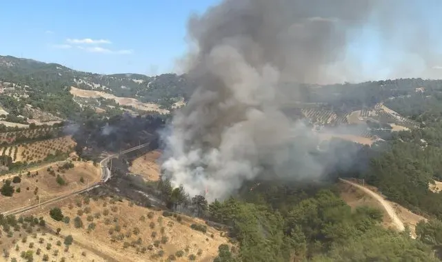 Manisa'da bir orman yangını daha