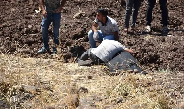 Siverek'te otomobil şarampole devrildi: 1 ölü, 3 yaralı