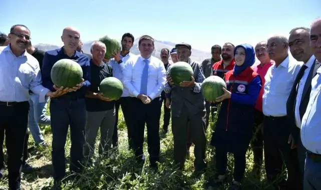 Karaman'da karpuz hasadı başladı
