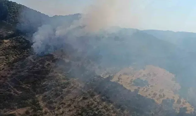Ayvacık'ta orman yangını