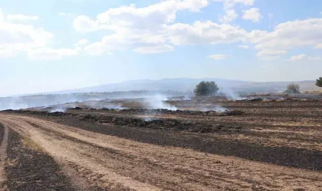 Samsun'da anız yangını: 150 dekar alan zarar gördü