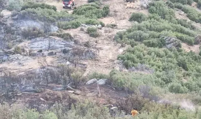 Nazilli'deki yangın söndürüldü