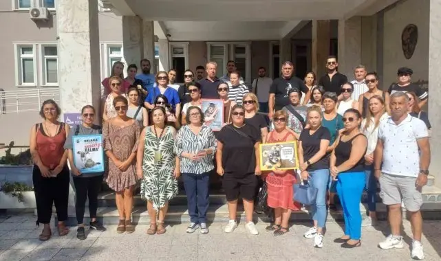 Yavru kedileri süpürge sapıyla öldüren şahıs tutuklandı