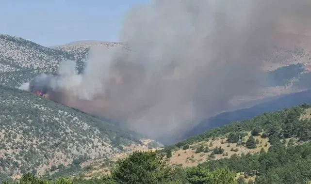 Konya'da ormanlık alanda yangın