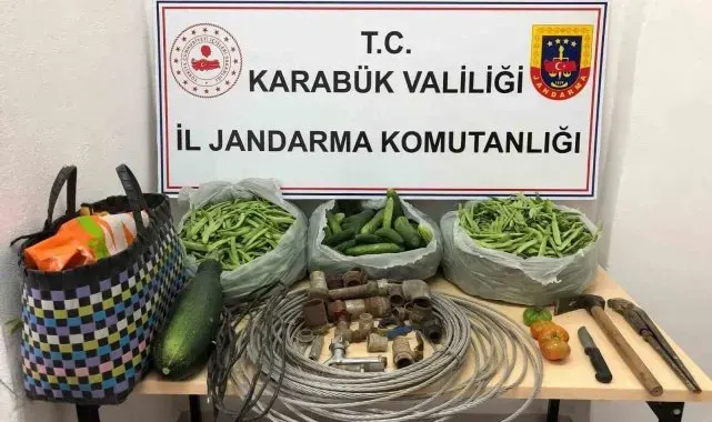 Bahçeden çaldıkları poşet poşet salatalık ve fasulyelerle ormanda yakalandılar