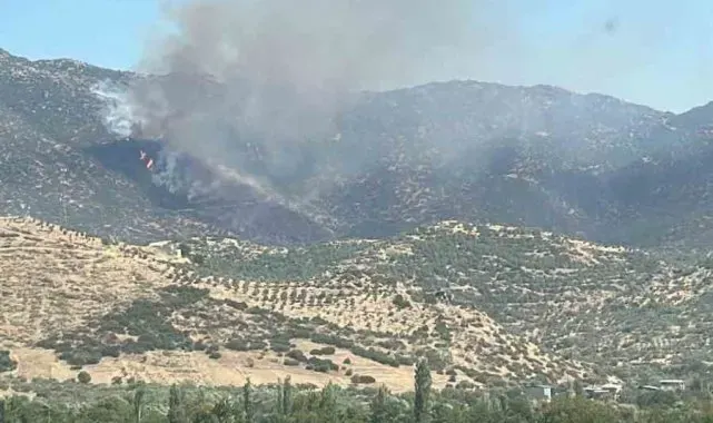 Nazilli'de makilik yangınını söndürme çalışmaları devam ediyor