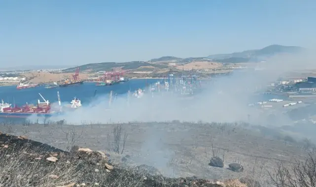 İzmir'de orman yangını