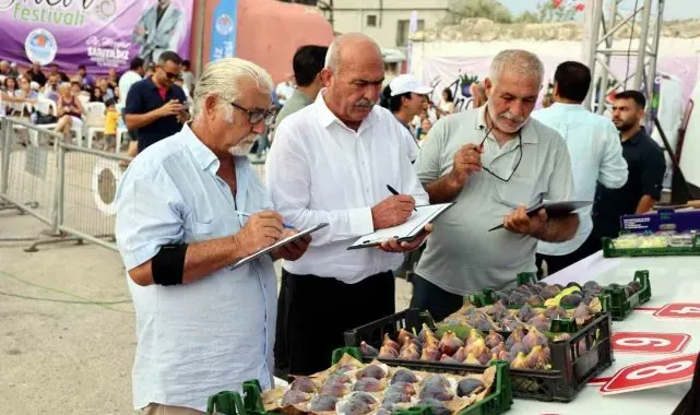 Mersin'de 'Bağlarbaşı İncir Festivali' düzenlendi