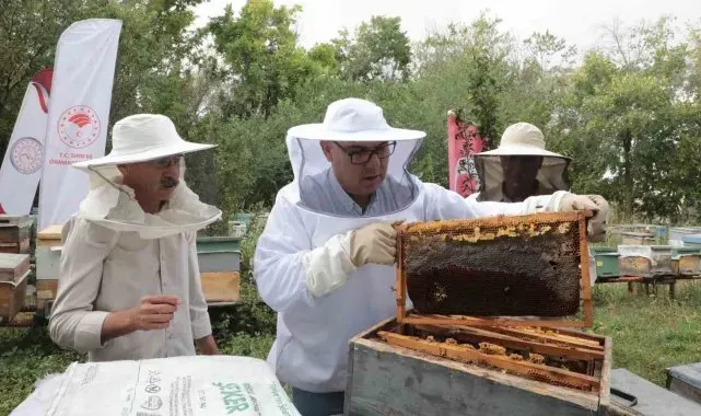 Ağrı'nın tescilli Geven Balından 400 ton verim hedefleniyor