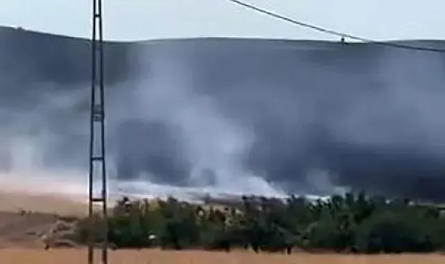 Baskil'de anız yangını paniğe neden oldu