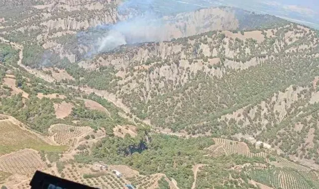 Manisa'da orman yangınına havadan ve karadan müdahale ediliyor