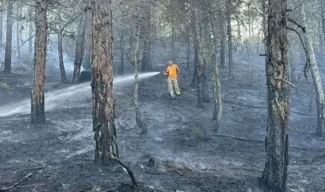 Bolu'da örtü yangınında 2 dönümlük alan kül oldu