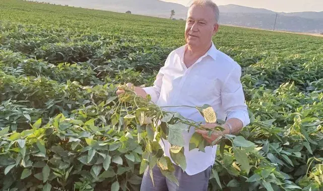 Arabanlı çiftçiler alternatif ürün olarak soya ekimine başladı