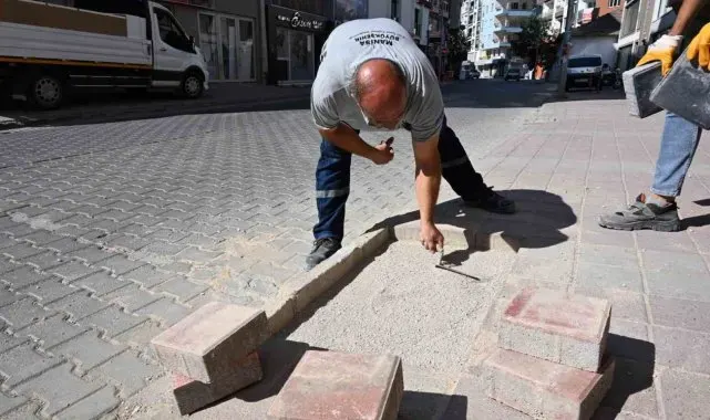 Muradiye'nin kronik sorunları büyükşehirle çözülüyor