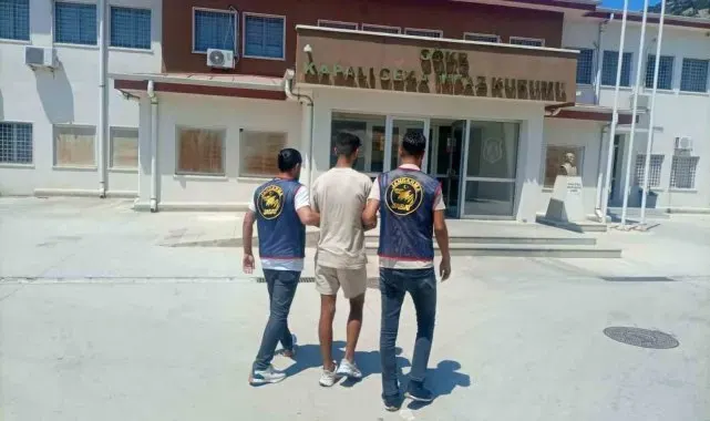 Jandarma 7 ayda 2 bin 317 şahsı yakaladı