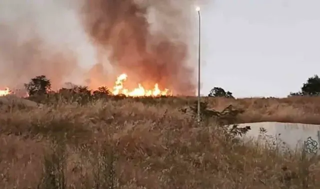 Tekirdağ'da Çırçır Tepesi'nde yangın