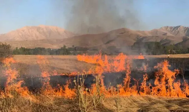 Gevaş'ta ot yangını