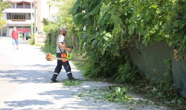 Serdivan'da yaz bakımı devam ediyor
