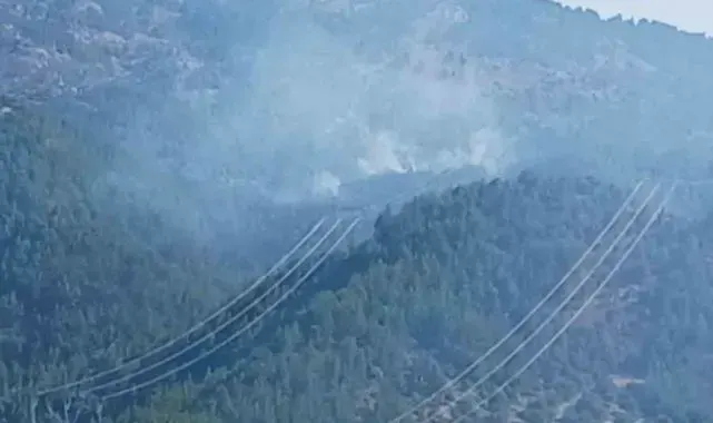 Adana'da orman yangınına müdahale eden helikopter düştü