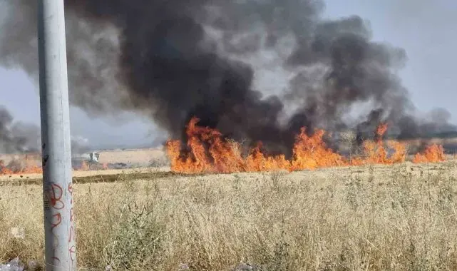 Diyarbakır'da çıkan anız yangını söndürüldü