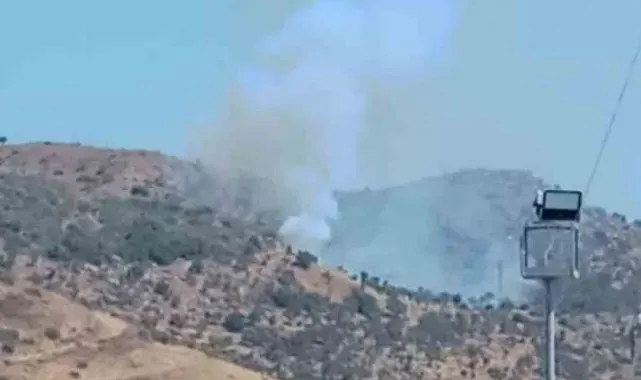 Milas Ören'de arazide çıkan yangın söndürüldü