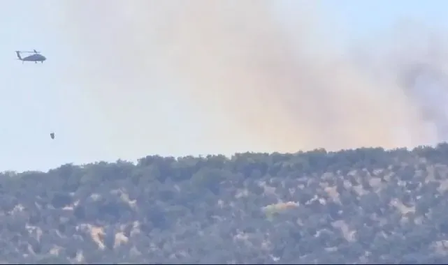 Erdek'te orman yangını, havadan ve karadan müdahale ediliyor