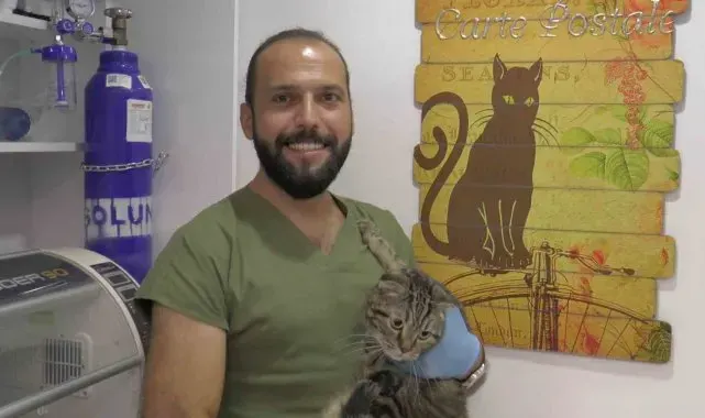 "Kedi virüsü gebeliği sonlandırabilir"