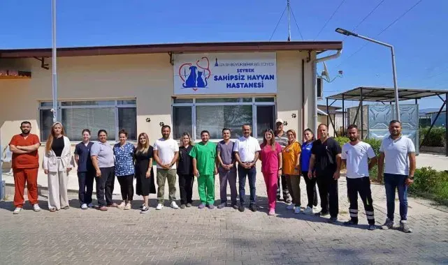 Sokak hayvanları bu hastanede şifa buluyor