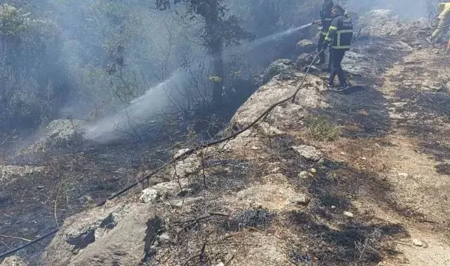 Yayladağı'nda orman yangını